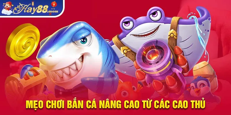 Mẹo chơi bắn cá nâng cao từ các cao thủ.