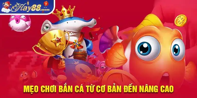 Mẹo chơi bắn cá từ cơ bản đến nâng cao