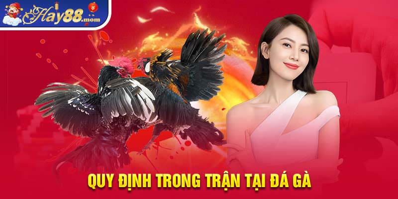 Quy định trong trận đá gà Thomo