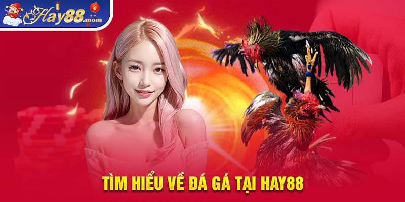 Tìm hiểu một số loại đá gà 