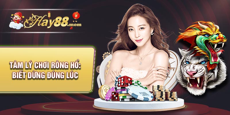 Tâm lý chơi rồng hổ biết dừng đúng lúc