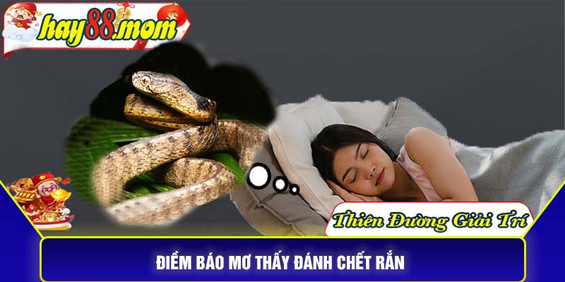 Điềm báo mơ thấy đánh chết rắn 