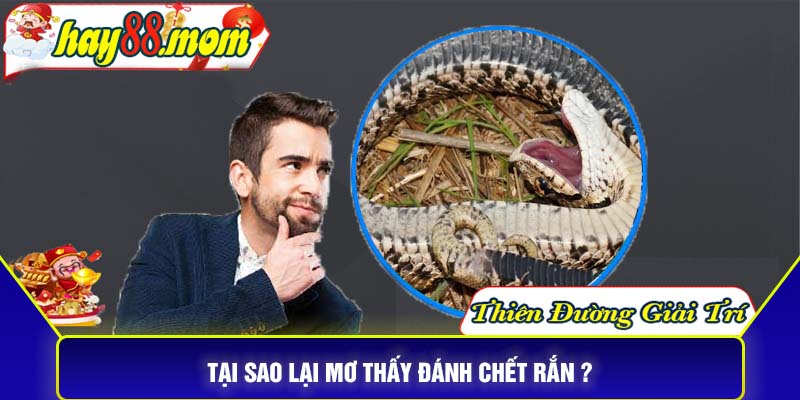 Tại sao lại mơ thấy đánh chết rắn ?
